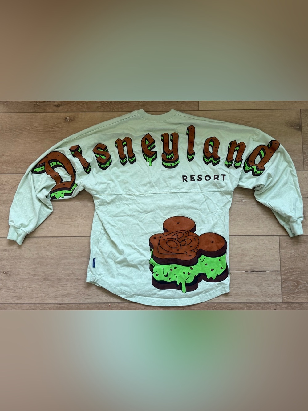 Disneyland Resort Spirit Jersey